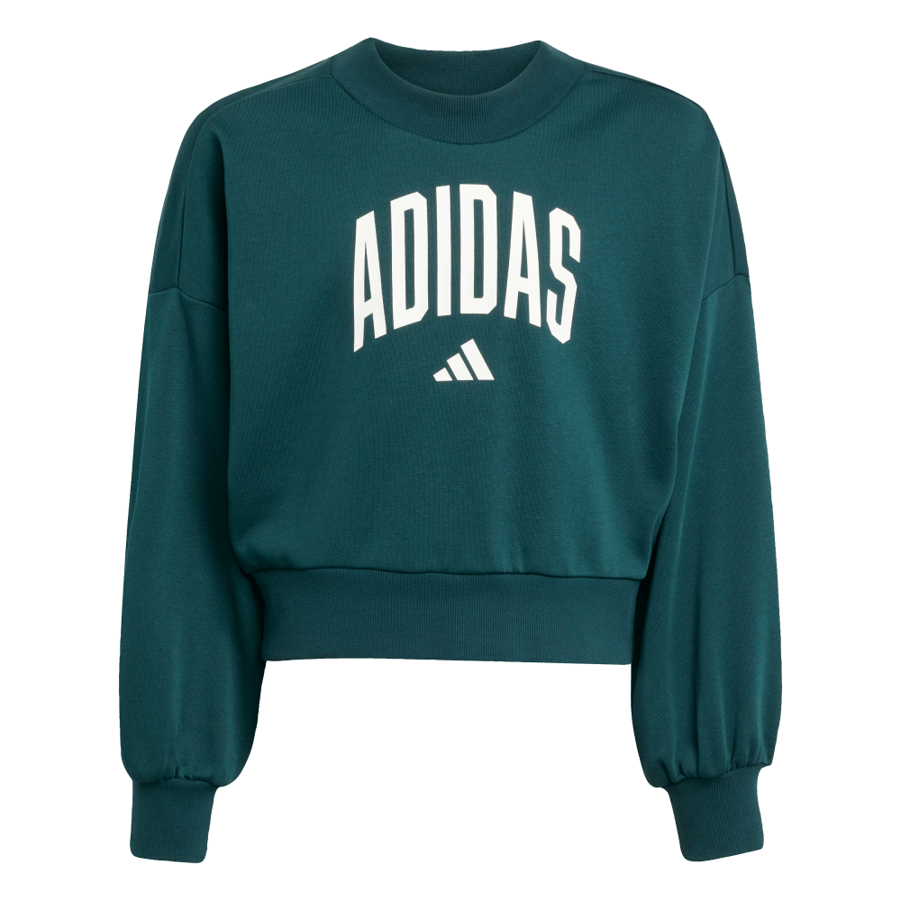 Adidas Jg Clgt Ft Swt Chaqueta verde de niña lifestyle